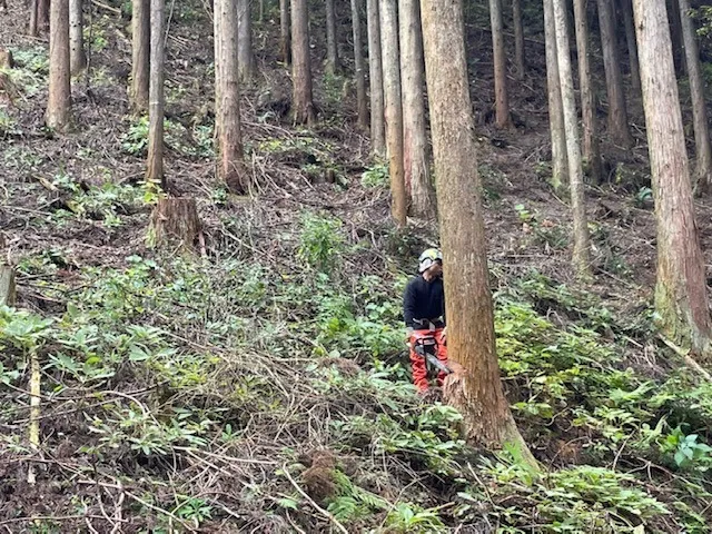 作業風景